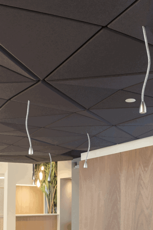 Akustik-3D-Tavan-Paneli-1