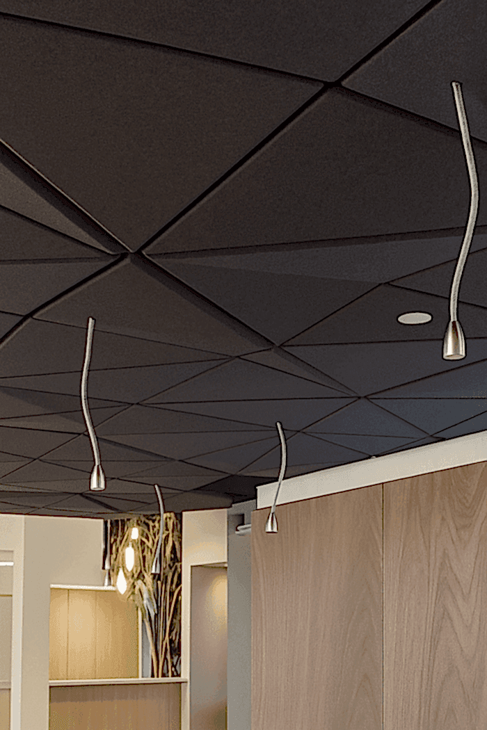 Akustik-3D-Tavan-Paneli-1