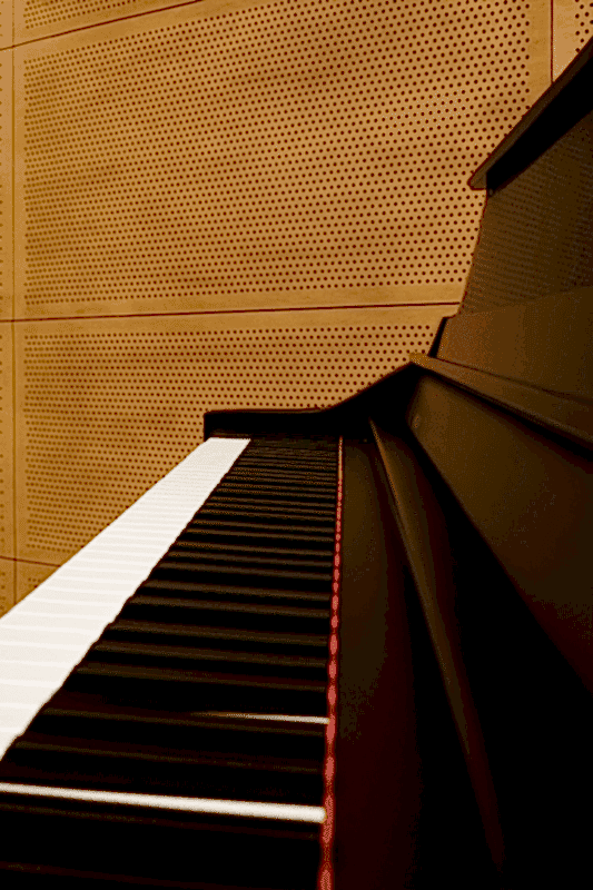 2000-delikli-akustik-panel